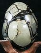 Septarian Dragon Egg Geode - Black Calcite Crystals #33985-3